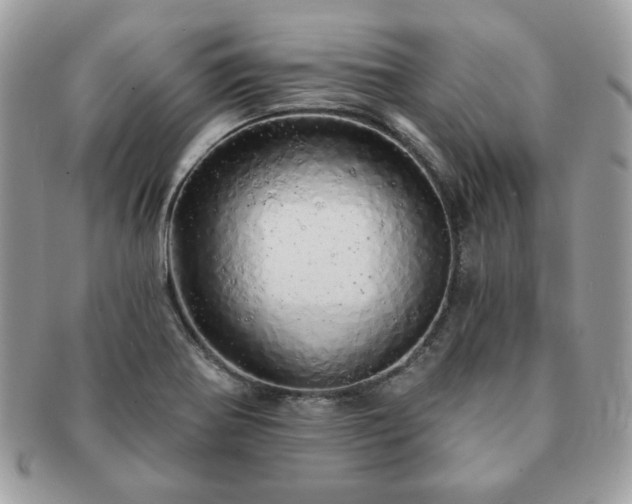 X0000091191370200708161540