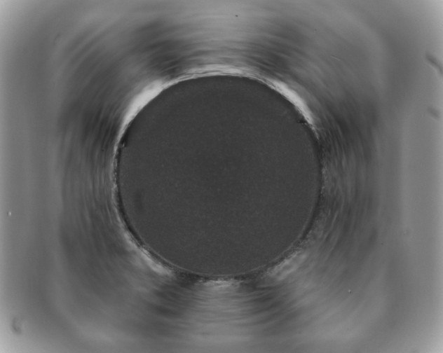 X0000091191373200708161540