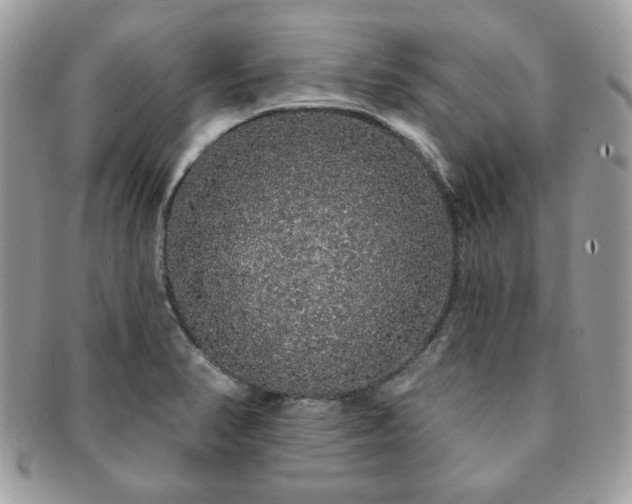 X0000091191374200708161540