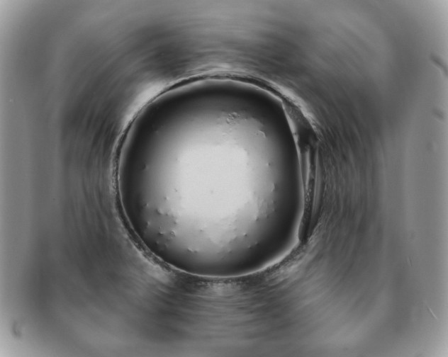 X0000091191375200708161540