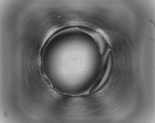 X0000091191376200708161540