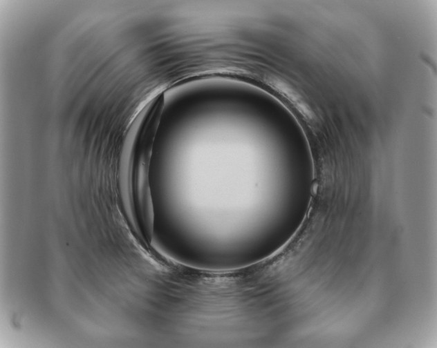 X0000091191377200708161540