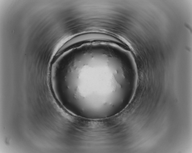 X0000091191379200708161540