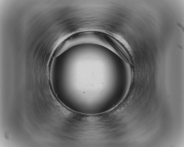 X0000091191380200708161540