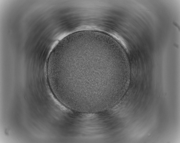 X0000091191382200708161540
