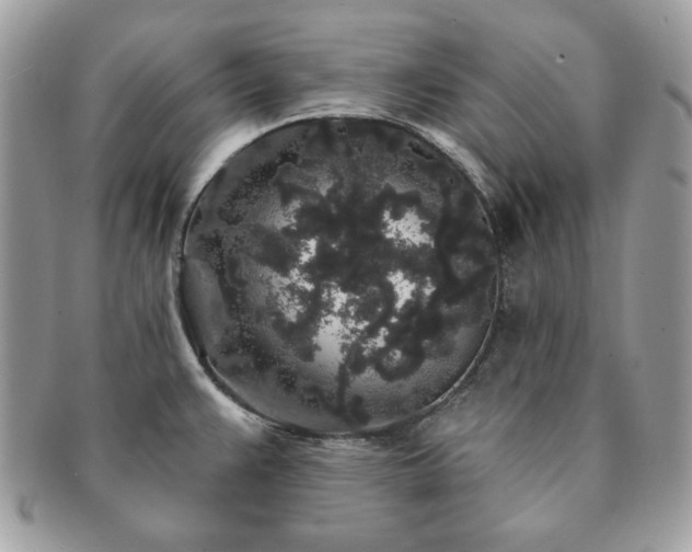 X0000091191383200708161540