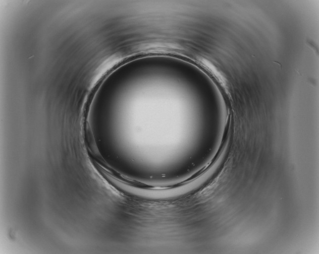X0000091191384200708161540