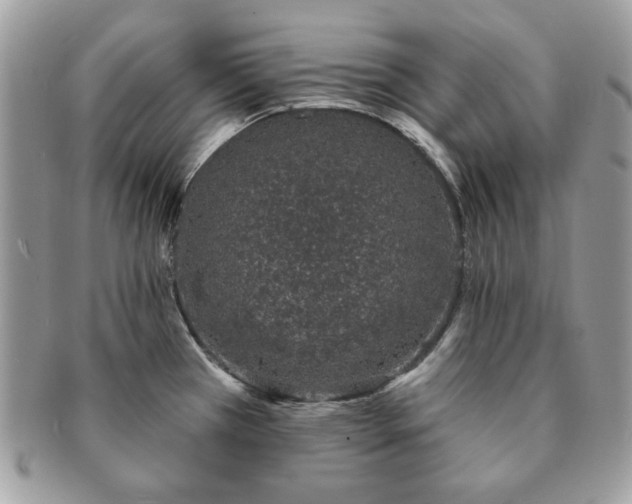 X0000091191385200708161540