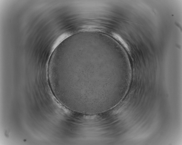 X0000091191386200708161540