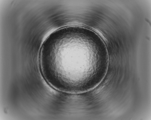 X0000091191387200708161540