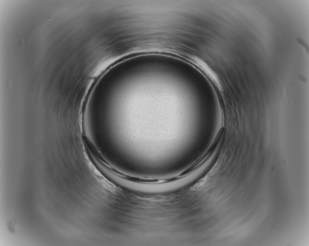 X0000091191388200708161540
