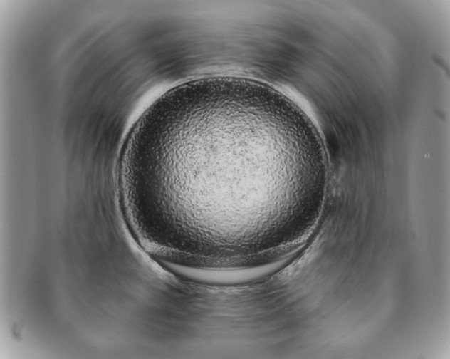 X0000091191389200708161540