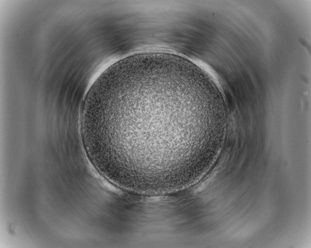 X0000091191390200708161540