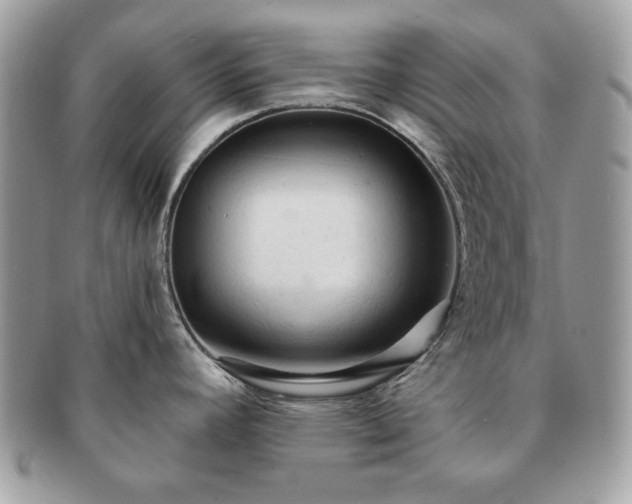 X0000091191392200708161540