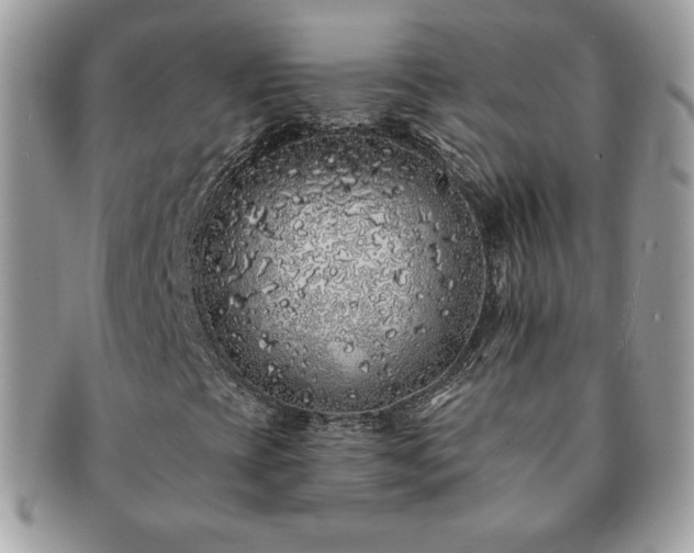 X0000091191393200708161539