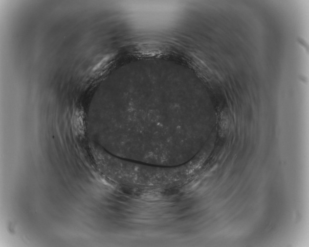 X0000091191394200708161539