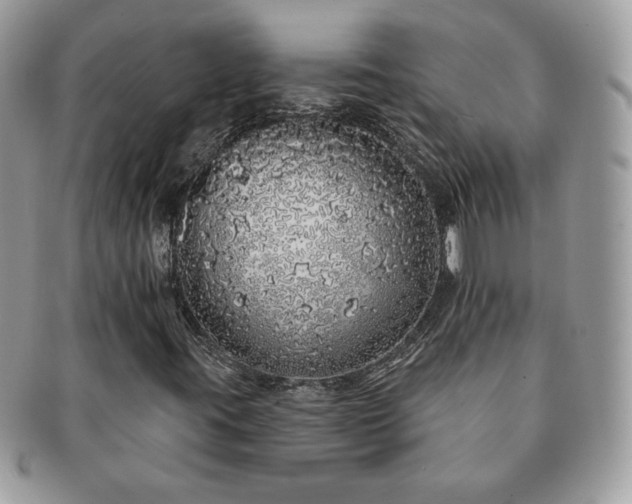 X0000091191395200708161539
