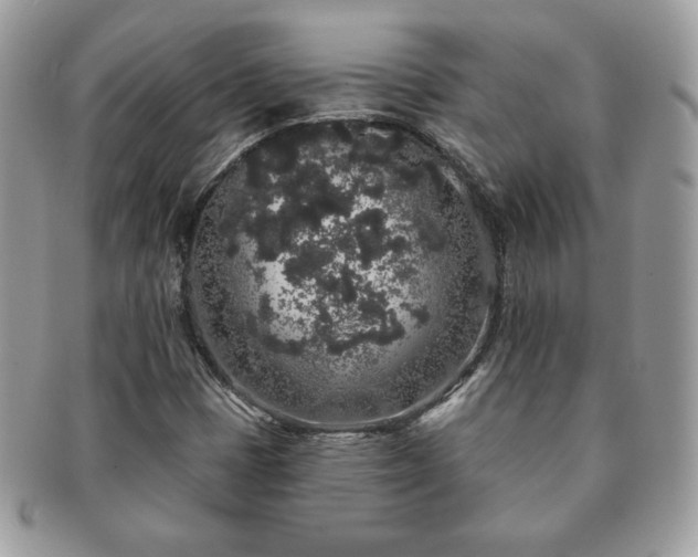 X0000091191401200708161539