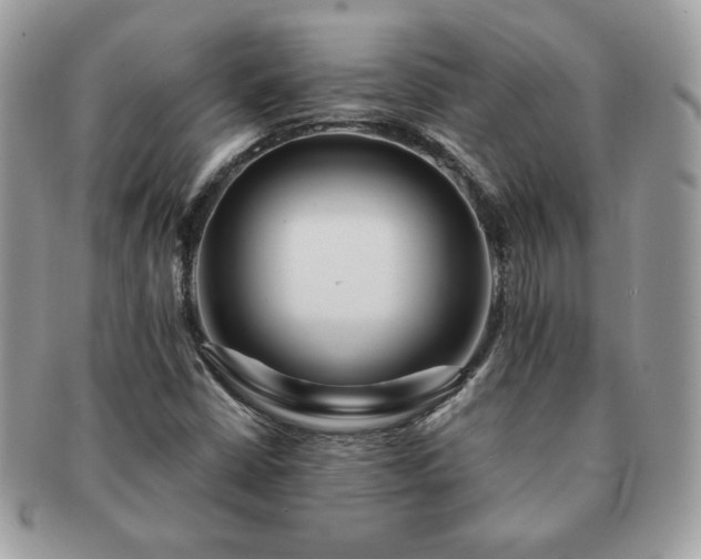 X0000091191402200708161539