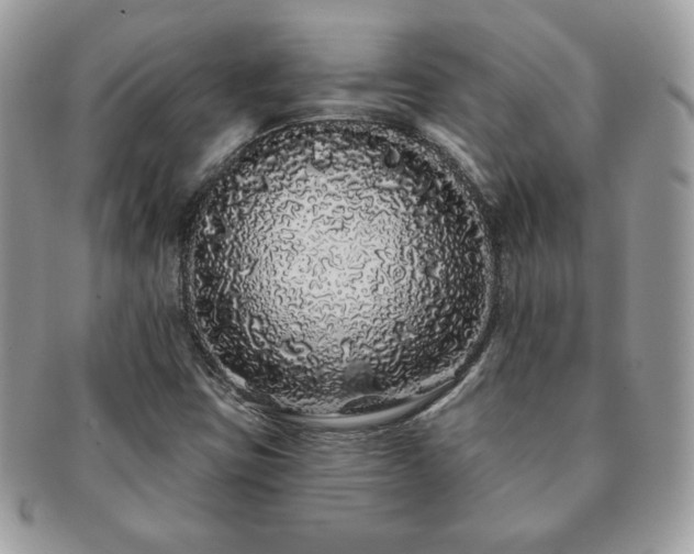 X0000091191403200708161539