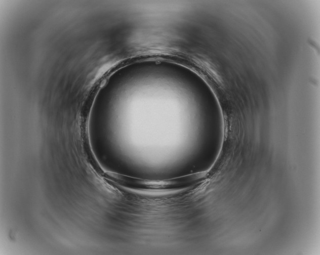 X0000091191404200708161539