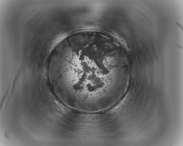 X0000091191405200708161539
