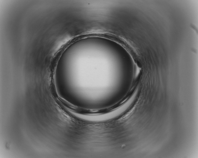 X0000091191406200708161539