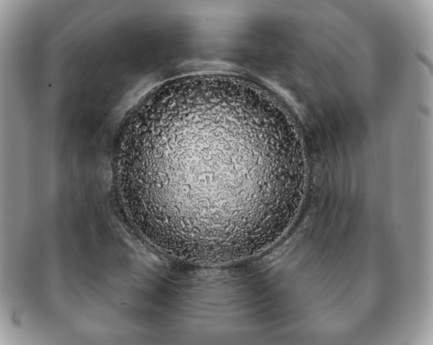 X0000091191407200708161539