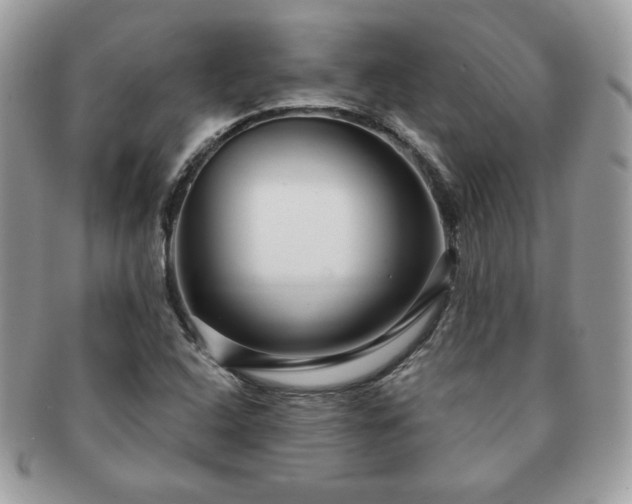 X0000091191408200708161540