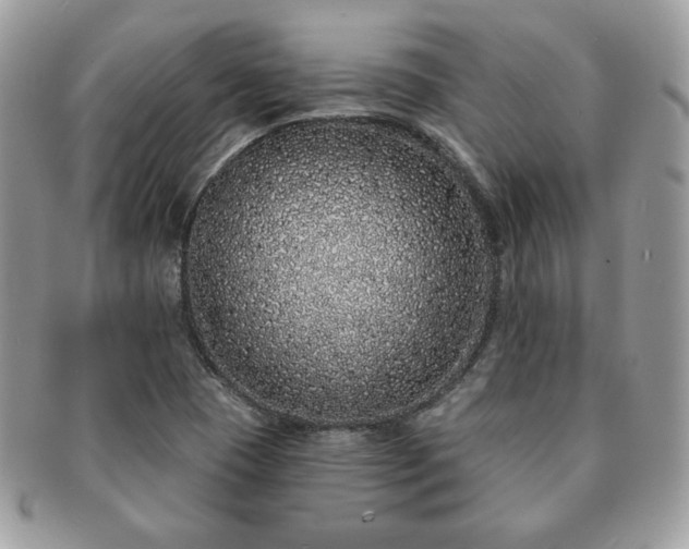 X0000091191409200708161540
