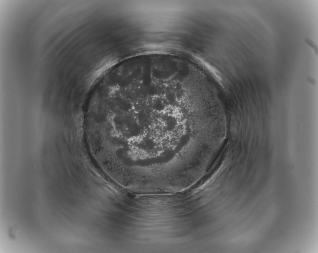 X0000091191411200708161540