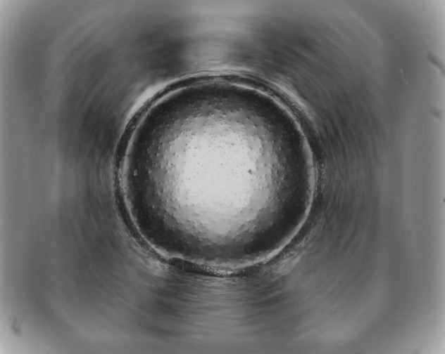 X0000091191412200708161540