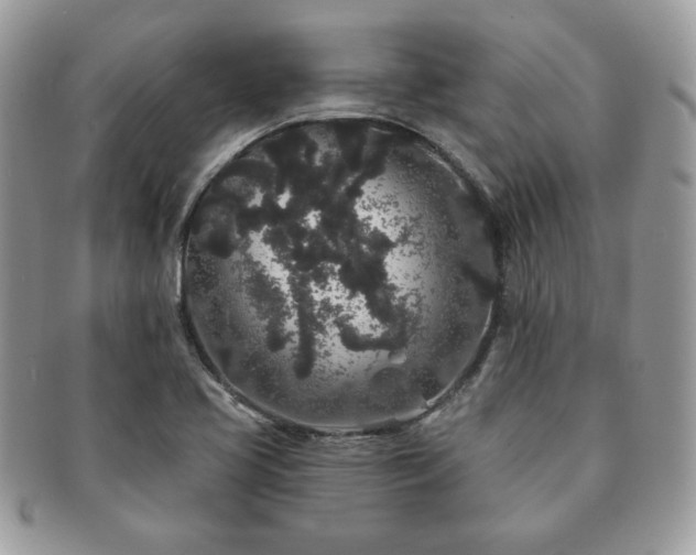 X0000091191413200708161540