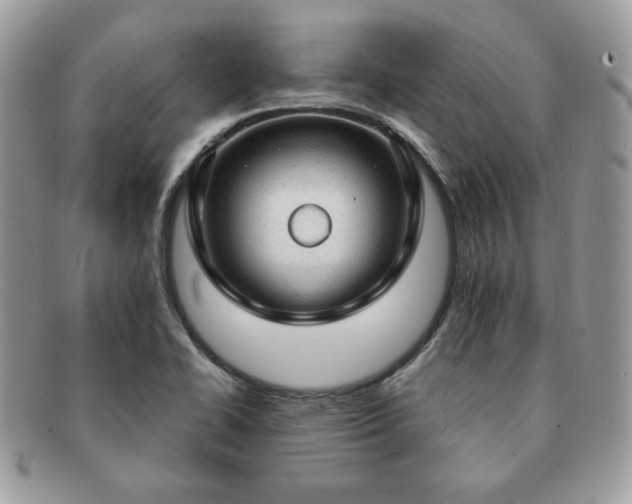 X0000091191414200708161540
