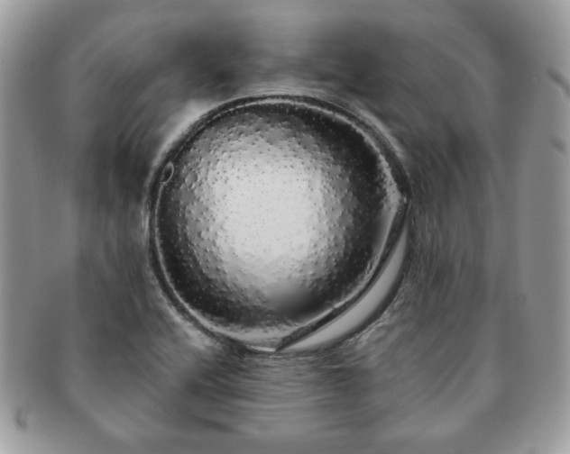 X0000091191416200708161540