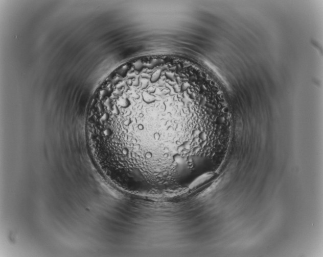 X0000091191417200708161540