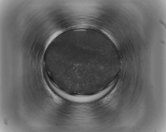 X0000091191418200708161540