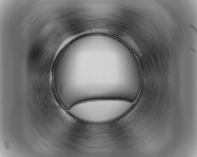 X0000091191420200708161540