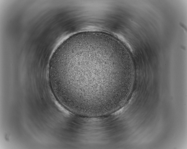 X0000091191421200708161540