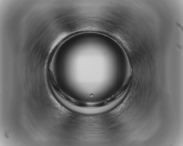 X0000091191422200708161540