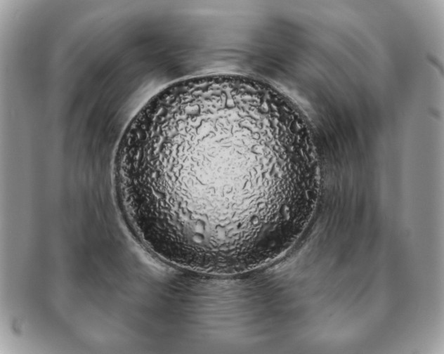 X0000091191423200708161540