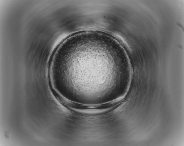 X0000091191424200708161540