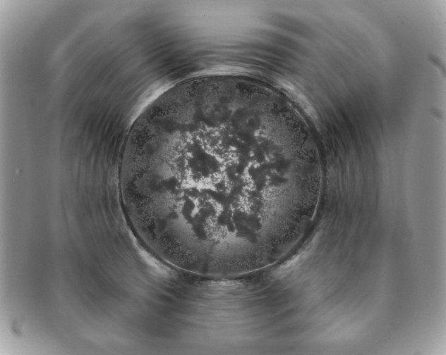 X0000091191425200708161540