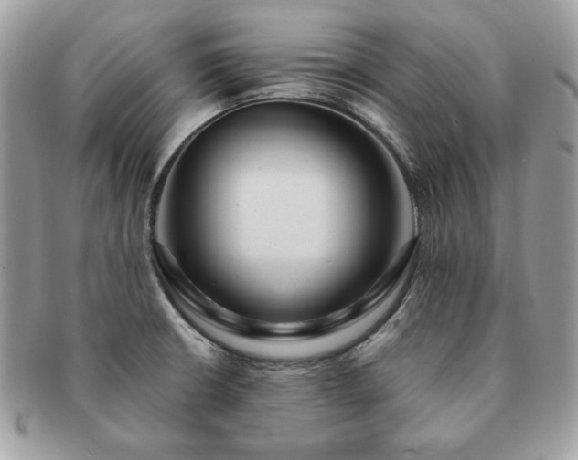 X0000091191426200708161540