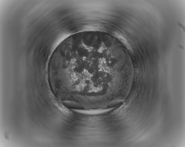 X0000091191427200708161540