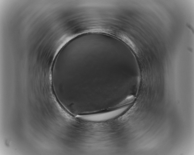 X0000091191428200708161540
