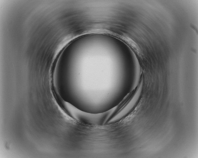 X0000091191430200708161540