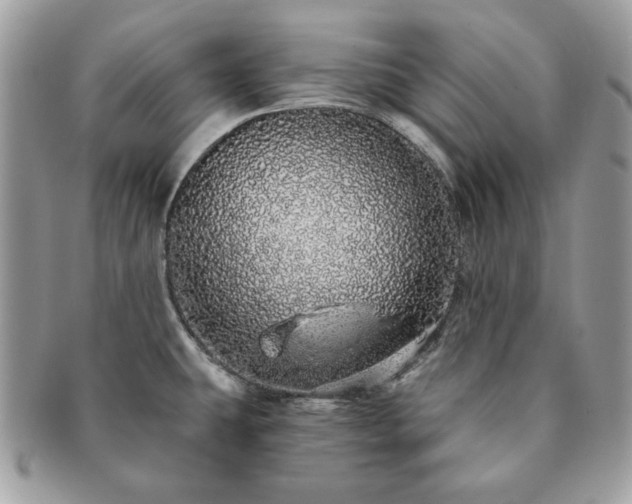 X0000091191431200708161540