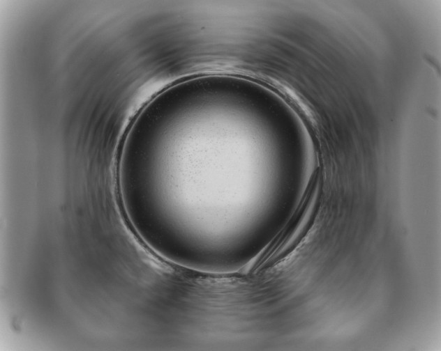 X0000091191432200708161540