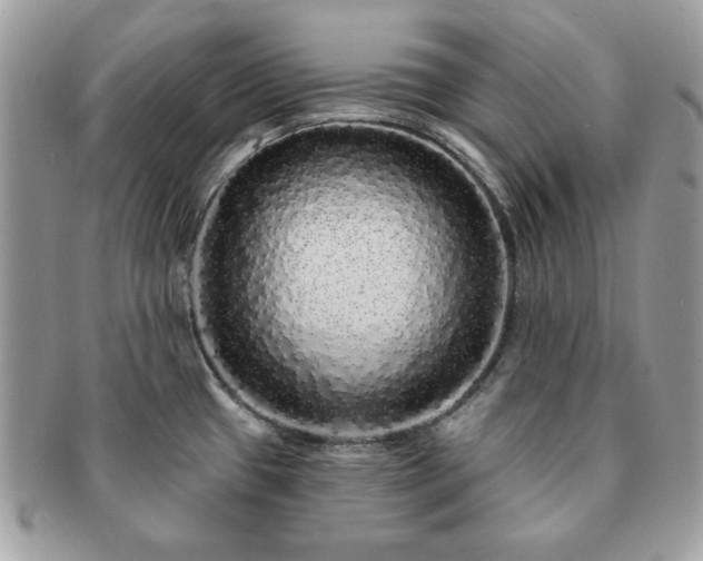 X0000091191433200708161540